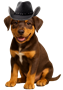 Dog-with-black-hat-90px