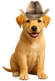 Dog-with-light-brown-hat-90px
