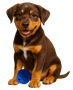 dog-with-yarn-ball-90px