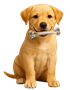 dogs with bone-90px